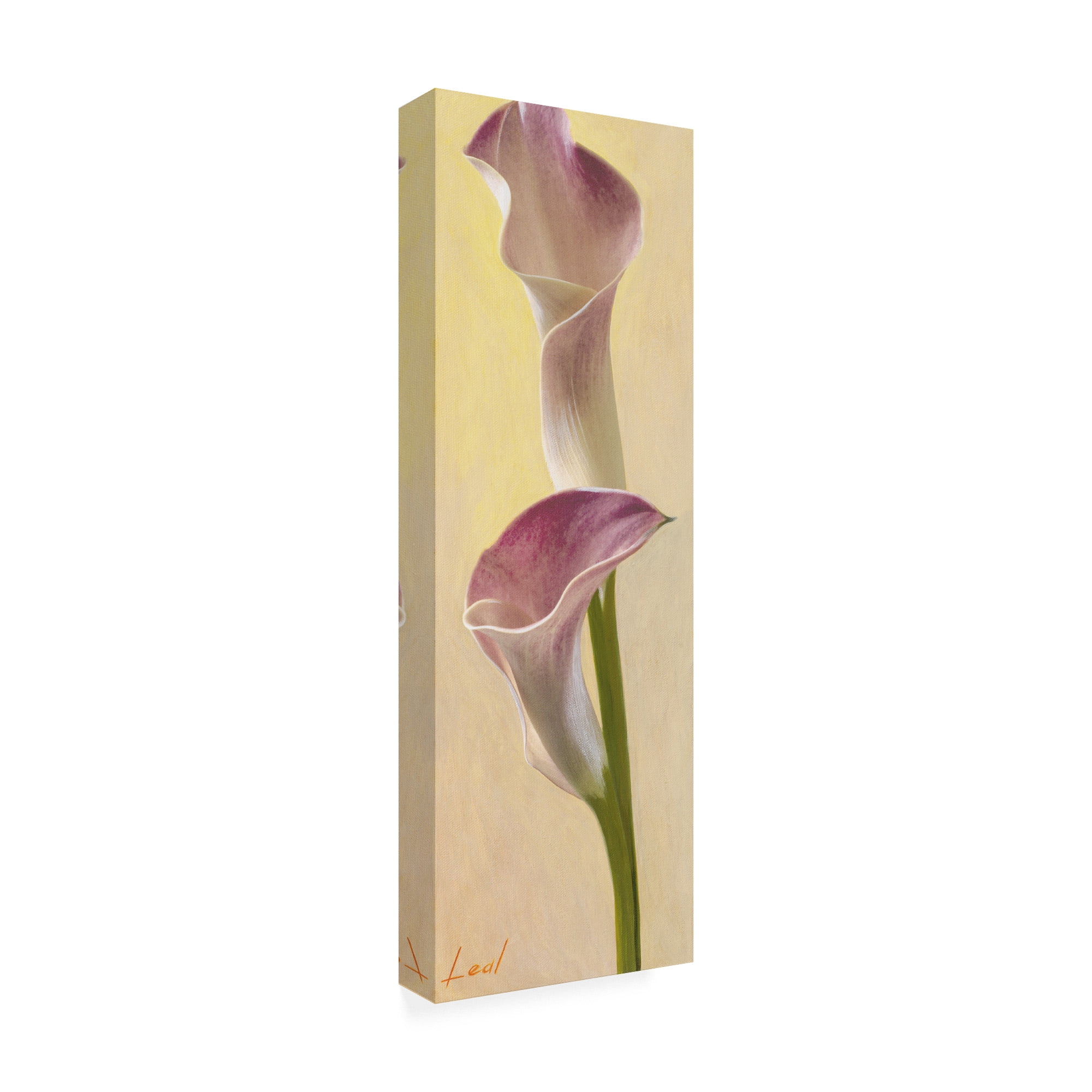 Trademark Fine Art 'Pink Floral Bell 2' Canvas Art by Pablo Esteban