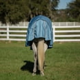 thumbnail image 5 of Equinavia Thunder 360 Detachable Neck Light Weight Turnout Blanket 100g, 5 of 10