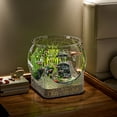 thumbnail image 5 of Desktop Aquarium For Fish Turtle Round Fish Bowl Clear Aquarium Fish Tank Enhance Viewing Experience Decorative Fish Bowl Small Desktop Aquariums For Fish & Turtles, 5 of 7