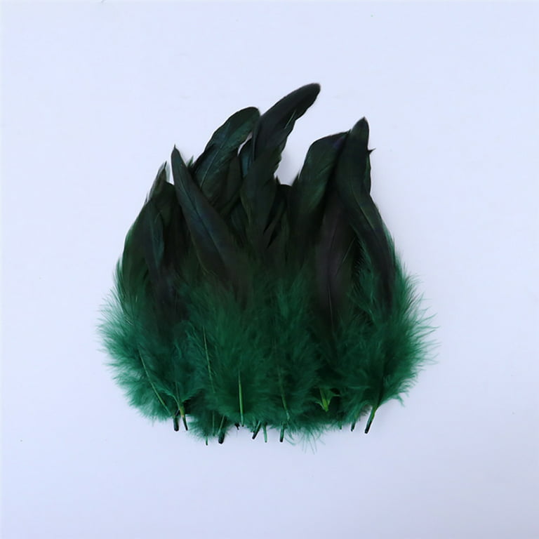 EUBUY 100pcs Pheasant Feathers Colorful Pheasant Stripe Feathers DIY  Feathers Handmade Accessories Clothes Accessories Dark Green 