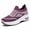 Purple 1, variant on Women's Shoes, Flyknit Upper, Casual Trend, Skin Friendly Breathable Insole, Sole Height 5.5CM, Lightweight and Comfortable, Multi Functional Casual Shoes
