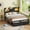 Black, variant on Fairy Queen Bed Frame with Storage Headboard, LED Lights, Charging Station and 2 Drawers, Metal Platform Bed, No Box Spring Needed, Black