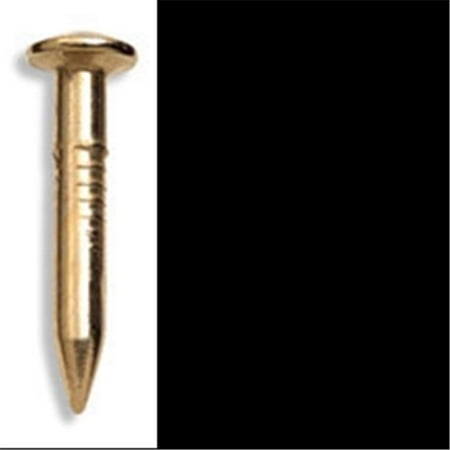 

50031 1.25 in. Ook Bendless Nails Pack of 12