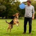 thumbnail image 3 of Durable Rubber Chew Proof Training Disc for Interactive Outdoor Play with Dogs Non Mental Stimulation Flying Toy, 3 of 4