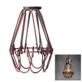 thumbnail image 1 of Pantalla De Jaula Vintage, Jaula De Pájaros De Metal Retro Industrial, Protector De Bombilla Edison, Diseño Abierto Y Cerrado, Portalámparas De Hierro Forjado Diy Speravity HA026138-02, 1 of 5