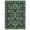 Green, variant on FairOnly 9'x12'Modern Pastoral Flowers & Butterflies Print Machine Washable Area Rug for Living Room Bedroom Non Slip Stain & Pet Friendly Indoor Rug for Home Decor,Green