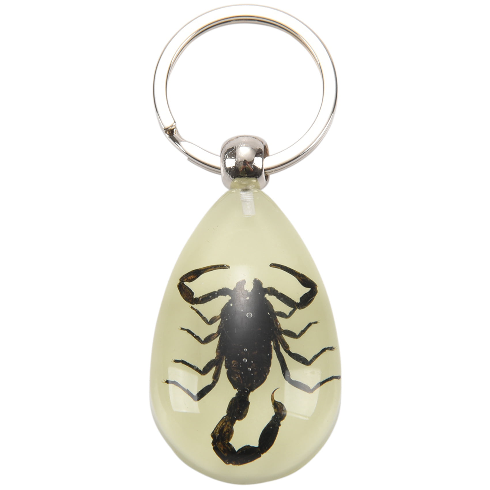 Luminous Scorpion Keychain Keyring Glow Real Insect Key Chain Ring Car Bag Tag 
