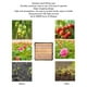 thumbnail image 2 of Lampe de croissance LED 500 LED 38 W à spectre complet pour plantes d'intérieur, légumes, fleurs, serre, 2 of 4