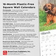 thumbnail image 6 of Rhodesian Ridgebacks | 2025 12x24" (Hanging) Square Wall Calendar | BrownTrout, 6 of 9