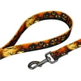 thumbnail image 4 of Country Brook Petz® 1 inch Midnight Fright Gunmetal Dog Leash, 6 Foot, 4 of 5