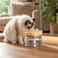 thumbnail image 4 of Quiet Automatic Cat Water Fountain Pet Drinking Dispenser Large Capacity Circulating Waterer for Cats Dogs Indoor, 4 of 6