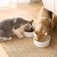 thumbnail image 4 of Cat Scratcher Mat Scratching Pad Grinding Claw Cat Claws Protect Sofa Board XL, 4 of 9