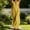 Yellow, variant on Women's Loose Casual Sleeveless Patchwork Long Dress Flowy Summer Midi
