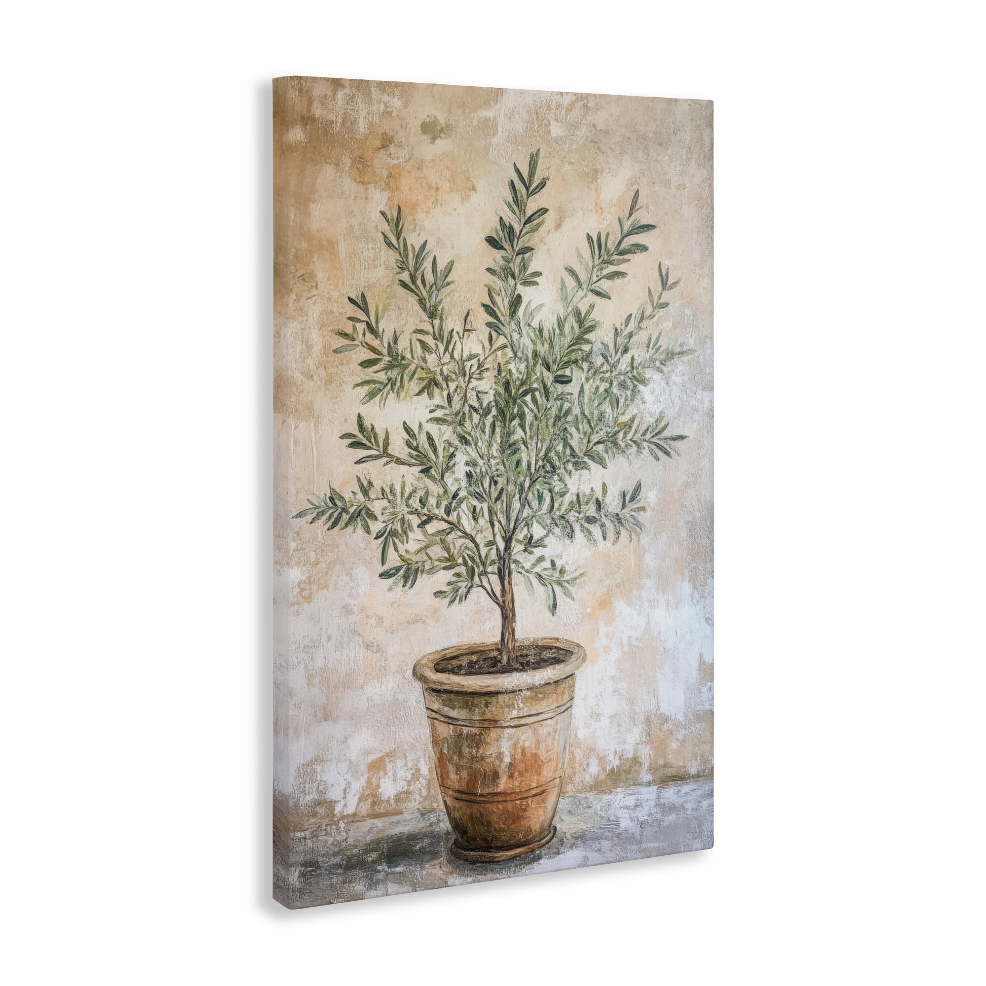 Stupell Industries Mediterranean Potted Olive Canvas Wall Art, design by Petal Prints Design