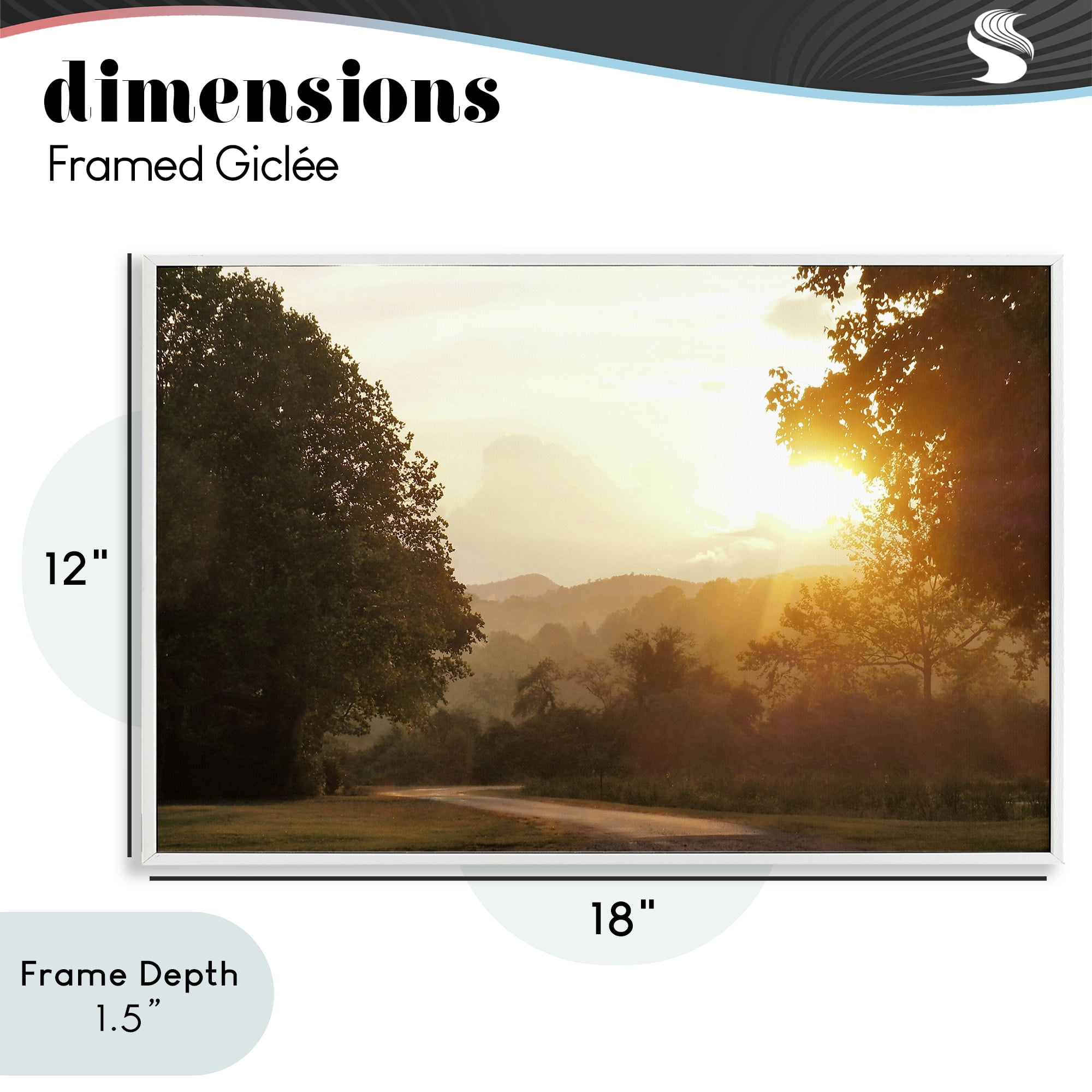 Stupell Industries Golden Morning Between Trees White Framed Giclee Art, design by Gail Peck