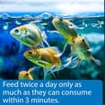 thumbnail image 5 of API Goldfish Pellets, Fish Food, 7 oz, 5 of 7