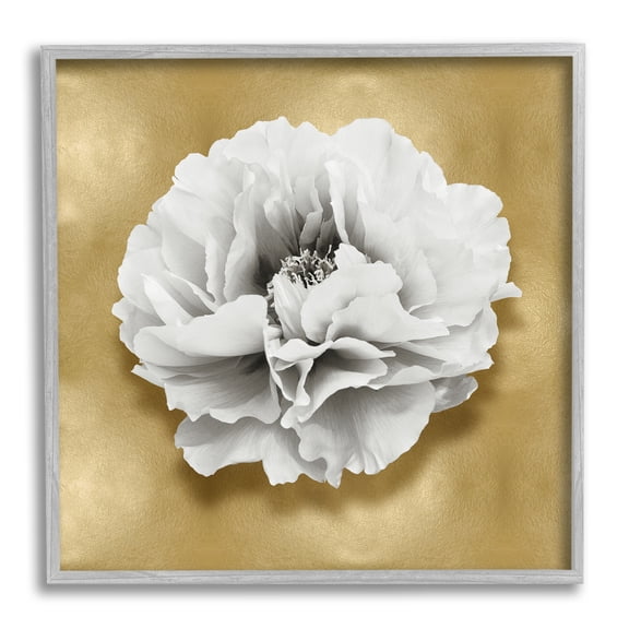 Stupell Industries White Peony on Gold Botanical & Floral Painting Gray Framed Art Print Wall Art, 24 x 24
