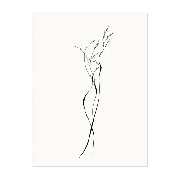 Stunning Minimalist Floral Line Drawing - Line Drawing Line Art Minimalist Abstract Black and White Modern Art Botanical Nature Unframed Wall Art Print 5 x 7 inches