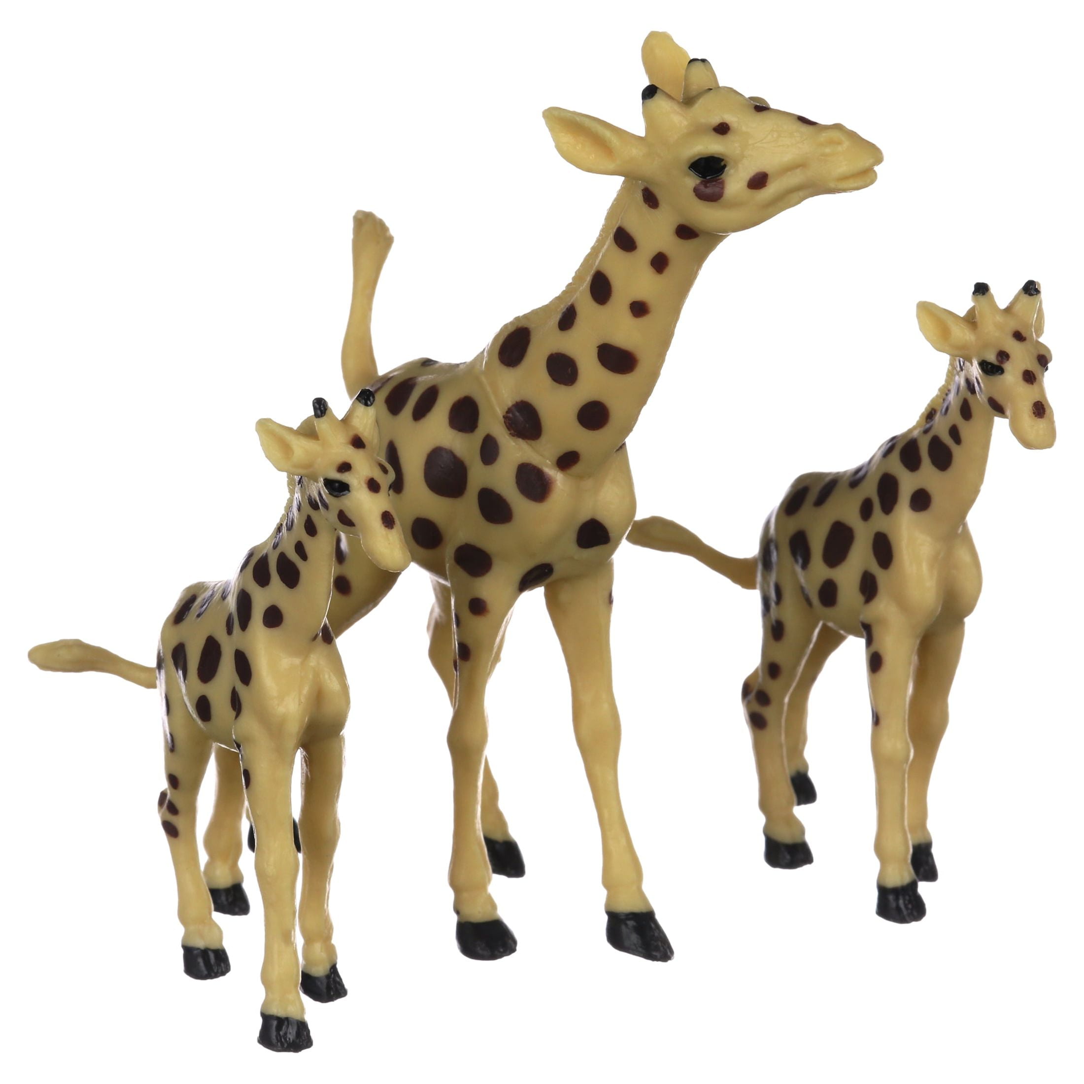 Imagen de producto 7