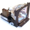 Premium Power Replacement Projector Lamp With OSRAM Bulb For Toshiba TLPL6