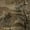 Realtree Max-1 XT, variant on MidwayUSA Men's Full Season Softshell Pants Realtree APX XL
