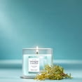 thumbnail image 5 of Yankee Candle Small Tumbler Scented Single Wick Jar Candle, Catching Rays, 4.3 oz (Pack of 2), 5 of 8