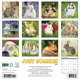 thumbnail image 2 of Willow Creek Press, Bunnies 2025 Wall Calendar, 2 of 4