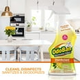 thumbnail image 4 of OdoBan Ready-to-Use Disinfectant and Odor Eliminator, 32 Ounce Spray Bottle, Citrus Scent, 4 of 5