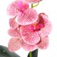 thumbnail image 5 of BRIGHTFUFU Artificial En Maceta Para De Hogar Con Y Vibrante, 5 of 7