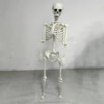 thumbnail image 2 of Halloween Skeleton Full Body Posable Joints Realistic Human Skeleton Decorations for Party Haunted House Trick-or-Treat Festive Toy, 2 of 8