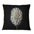 thumbnail image 2 of Designart 16" x 16" Black Polyester Throw Pillow, 2 of 5