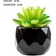 thumbnail image 3 of Plantas artificiales de interior en macetas, plantas artificiales al aire libre, mini plantas suculentas verdes en cerámica negra estética para baño, sala de estar, oficina (4) TUNC Sencillez, 3 of 5