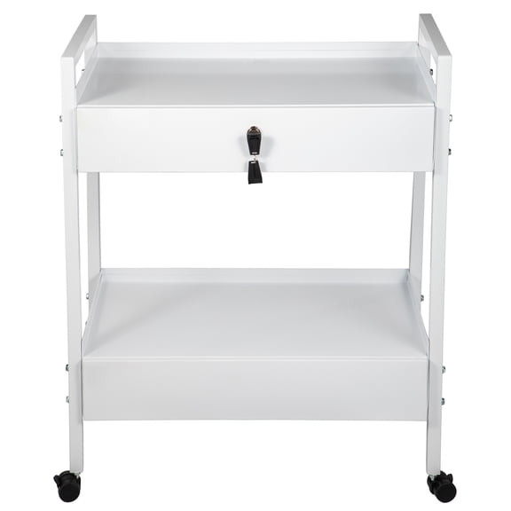 KFFKFF Laboratory Trolley, Dual-Level Stainless Utility Vehicle, Healthcare Trolley with Pair of Compartments, Mobile Laboratory Trolley with White Coating, Service Trolley with Rotating Wheels