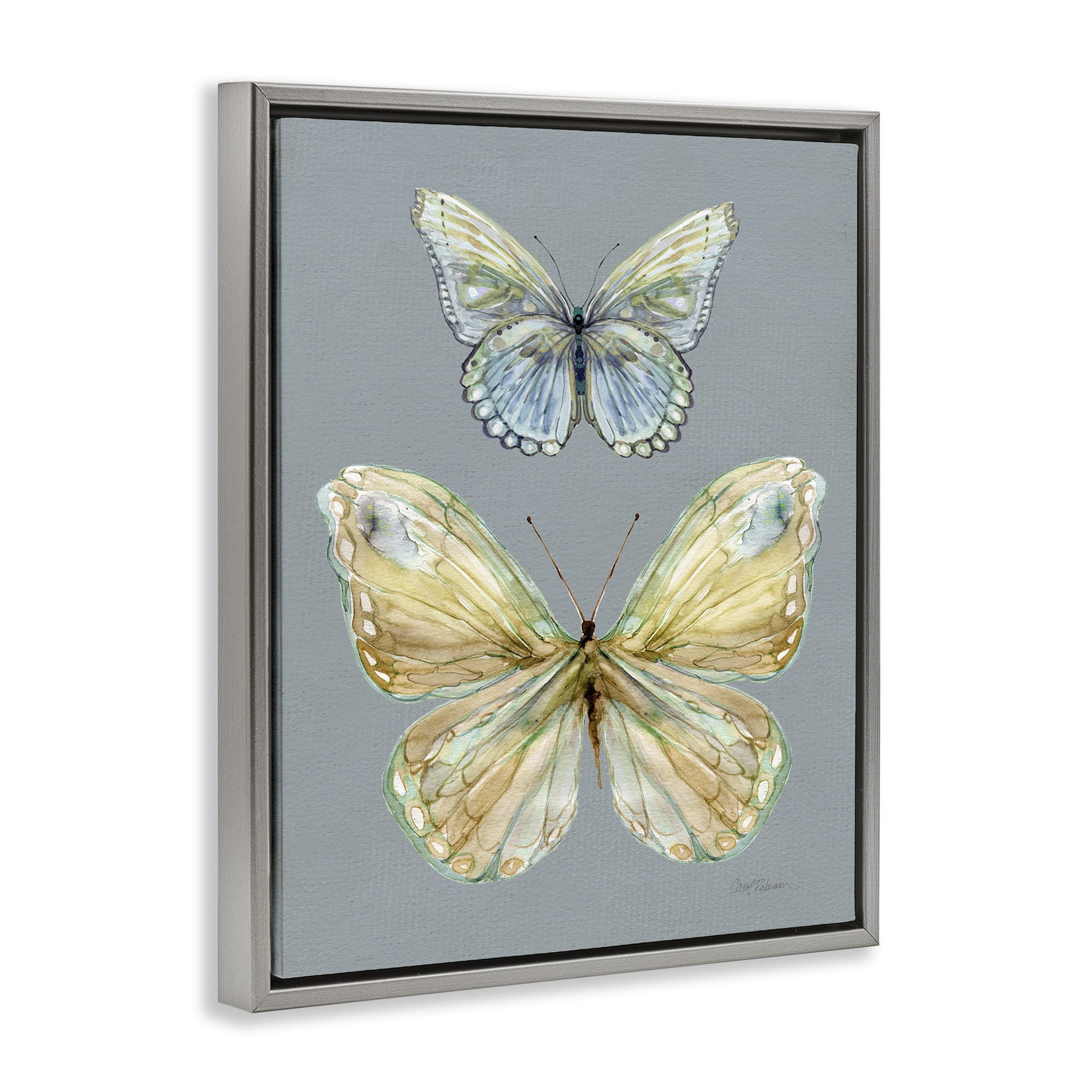 Stupell Industries Delicate Butterflies on Slate Gray Framed Floater Canvas Wall Art, design by Carol Robinson