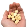 thumbnail image 4 of Eisco Labs Balles Anti-Piqûres, Pièces de Rechange pour Expérience d'Électroscope, Lot de 10, 4 of 4