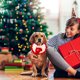 thumbnail image 4 of Bufanda Navideña Tejida para Perros y Gatos | Adorno de Cuello de Poliéster Cálido Hecho a Mano | Cuello Ajustable para Fotos Navideñas, Comidas y Paseos | Bonito y Acogedor Accesorio de Regalo de In, 4 of 6