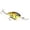 Chartreuse Perch, variant on Strike King Pro-Model 8 XD Green Back Chartreuse