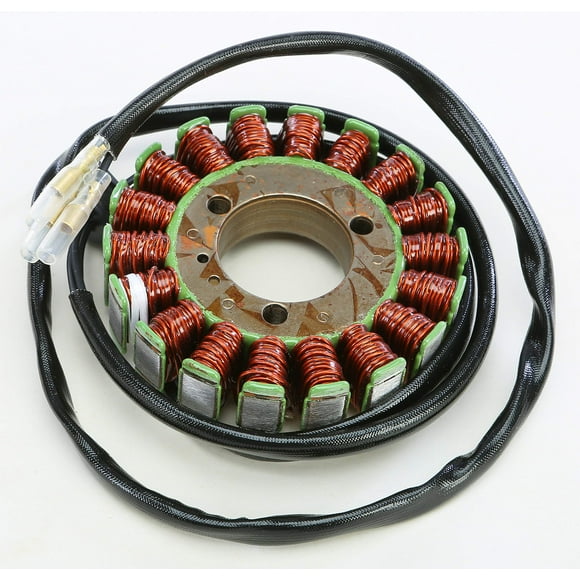 Ricks Motorsport Electric Stator 21-303