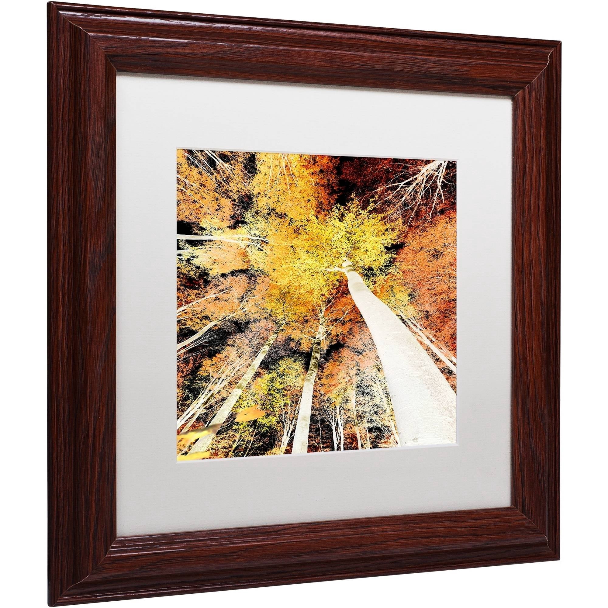 Trademark Fine Art "Damn Nation" Canvas Art by Philippe Sainte-Laudy White Matte, Wood Frame