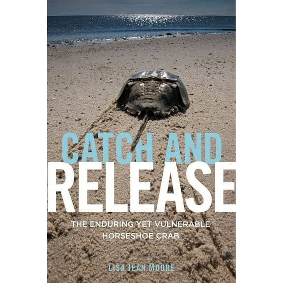 Catch and Release: The Enduring Yet Vulnerable Horseshoe Crab, (Hardcover)