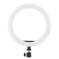 thumbnail image 2 of QIILU 10in Ring Fill Light LED Circle Supplementary Lamp For Live Steaming Selfie Vlog, 2 of 8