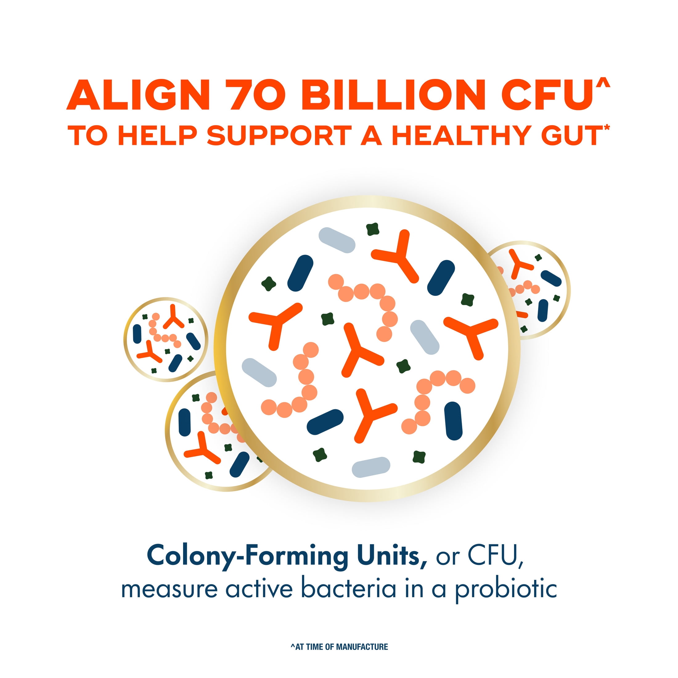 Align Probiotics, 70 Billion CFU^, Daily Probiotic Supplement, 30 Capsules