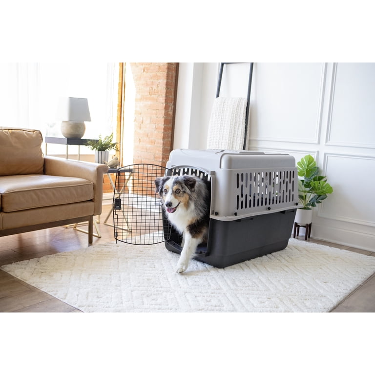 Vibrant Life Medium/Large Plastic Hard-Sided Pet Carrier, Black