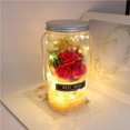 thumbnail image 4 of Toystoory Jabón de aromaterapia Rosa LED Jabón Flor Botellas de plástico Boda Flor artificial Día de San Valentín Día de la madre Regalo del día de Kits de decoración para fiestas No.2 Toystoory HA024345-02, 4 of 6