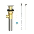 thumbnail image 1 of Brass Mechanical Pop up Drain, CP, 1 of 1