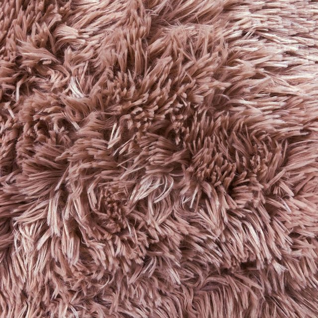 Soft Fluffy Area Rug, Washable Silk-Wool PV Fleece, Non-Slip, Family and pet Friendly Living Room Rug (Champagne,20×32 inch)