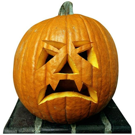 Single Pumpkin Life-Size Cardboard Stand-Up