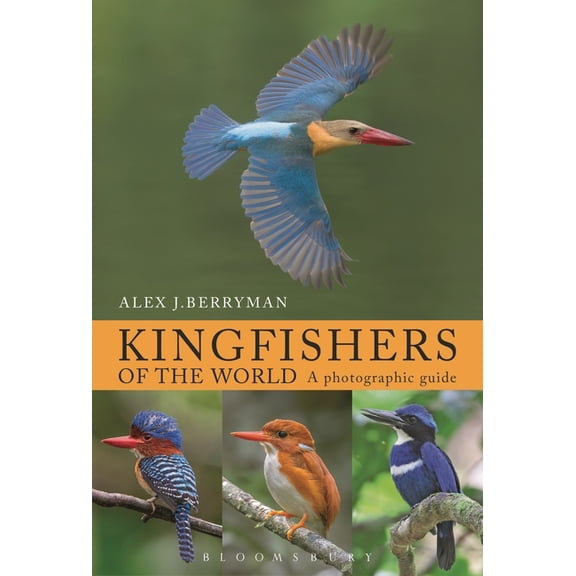 Kingfishers of the World, (Hardcover)