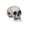 A003- Dolphin Water Gun, variant on Halloween Skeleton Decor Spooky Halloween Decorations Gothic Halloween Decor for Indoor Halloween Table Decor Haunted House Decor Halloween Party 1 Piece