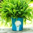 thumbnail image 3 of Grotto Aqua Seashell Planter, 3 of 4